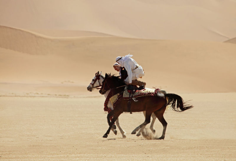 Foto de Susurros en el Desierto