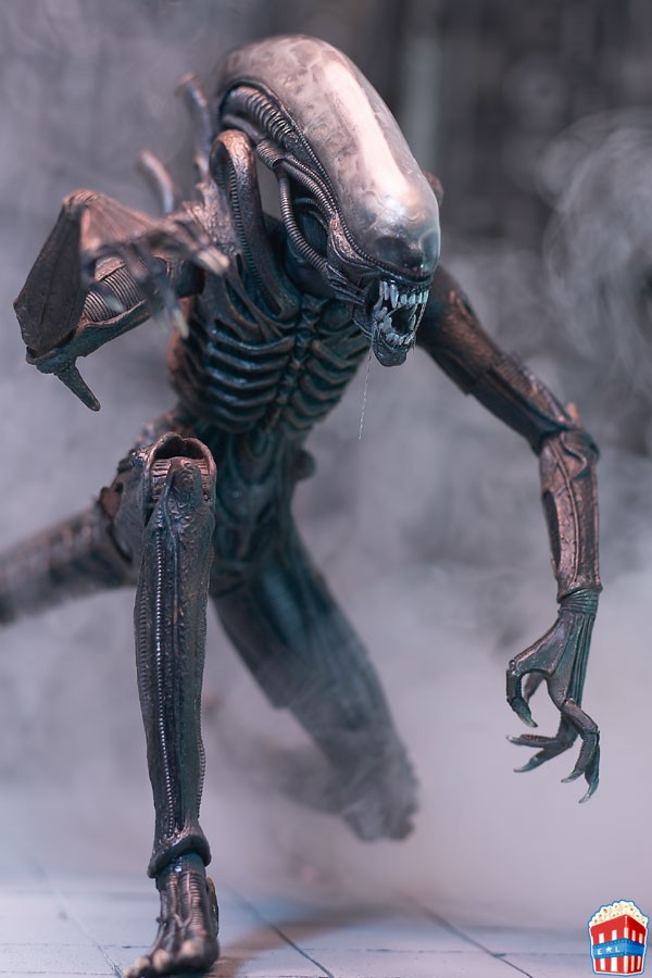 Foto de Alien Vs. Predator