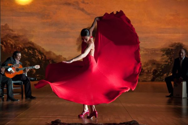 Foto de Flamenco, flamenco