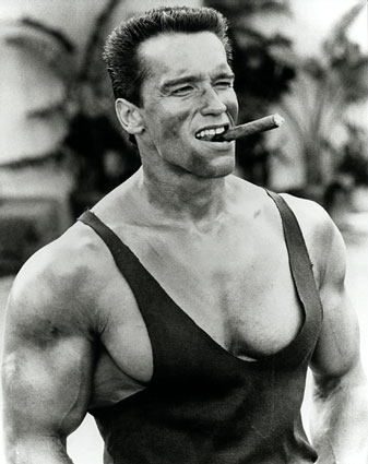 Foto de Arnold Schwarzenegger