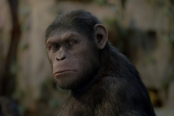 Foto de El Origen del planeta de los simios