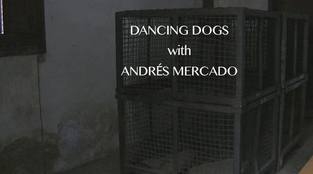 Foto de Dancing Dogs