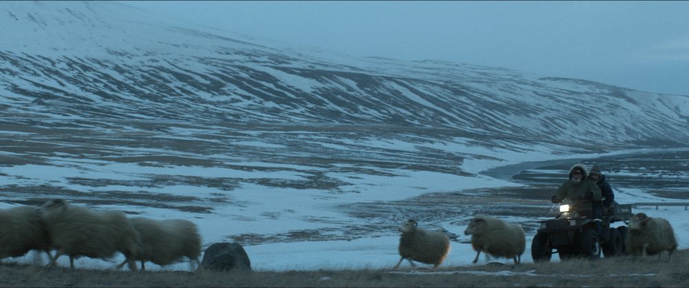 Foto de Rams: El Valle de los carneros