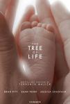 Tráiler y cartel oficiales de The Tree of Life; uno de las películas más esperadas