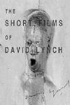 Ficha de The Short Films of David Lynch