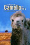 Ficha de La Historia del Camello que llora