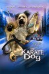 Ficha de Karate Dog