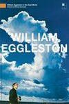 Ficha de William Eggleston in the Real World