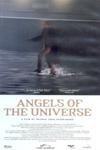Ficha de Angels of the Universe