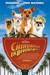 Ficha de Un Chihuahua en Beverly Hills