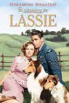 Ficha de El Cachorro de Lassie