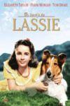 Ficha de El Coraje de Lassie