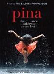 Ficha de Pina