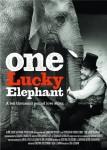 Ficha de One Lucky Elephant
