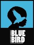 Ficha de Blue Bird