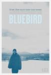 Ficha de Bluebird