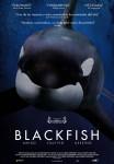 Ficha de Blackfish