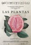 Ficha de Las Plantas