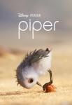 Ficha de Piper