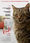 Ficha de Kedi (Gatos de Estambul)