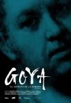 Ficha de Goya, el secreto de la sombra