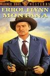 Ficha de Montana