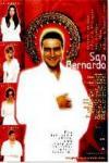 Ficha de San Bernardo